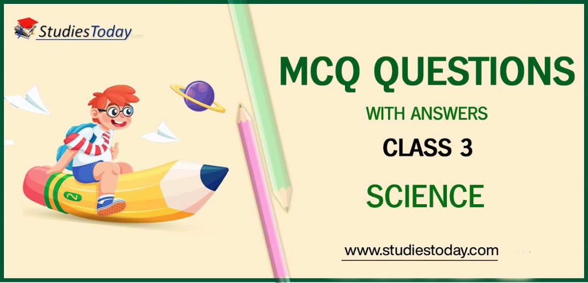 mcqs-class-3-science-with-answers-pdf-download